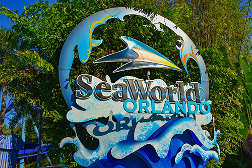 Show thumbnail preview A colorful sign for SeaWorld Orlando featuring a stylized dolphin, waves, and blue lettering, set against a backdrop of lush green trees and plants.