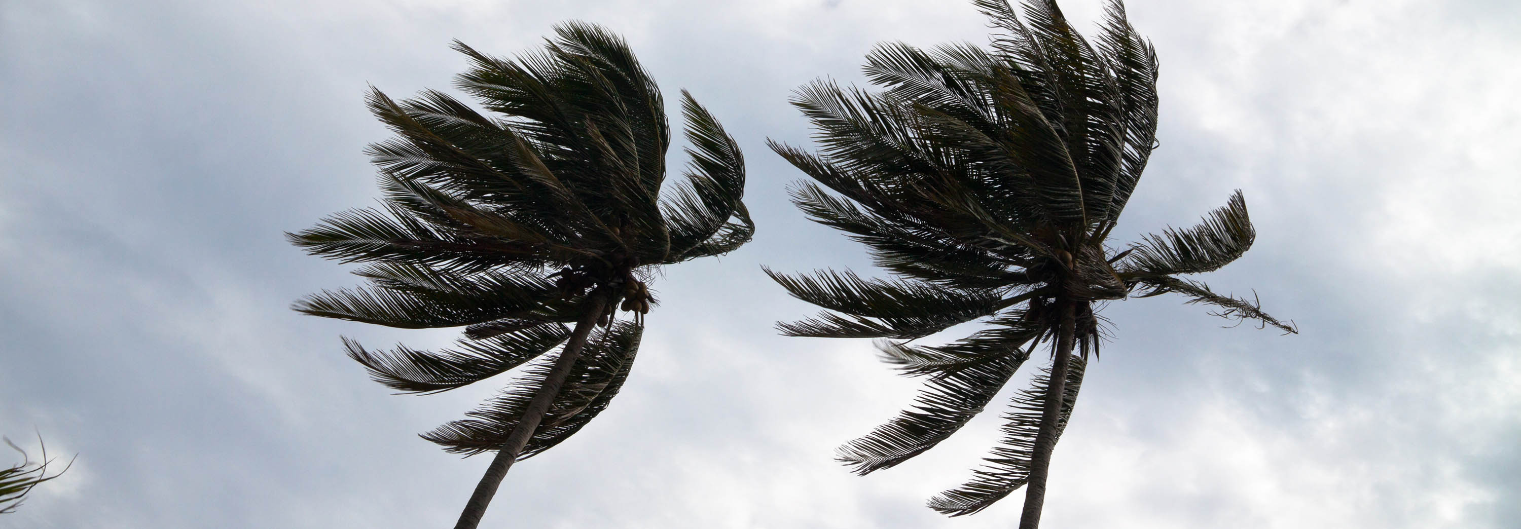 How Long Do You Have to File an Insurance Claim in Florida After a Storm?