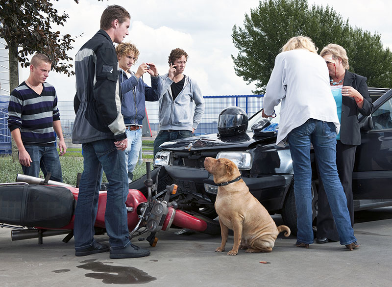 car accident photo with many people